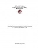 Las obligaciones extracontractuales y los títulos de valores en el Derecho Internacional Privado