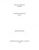 INGENIERIA DESCRIPCION DEL PROYECTO