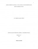 ESPECIALIZACION DERECHO LABORAL Y SEGURIDAD SOCIAL
