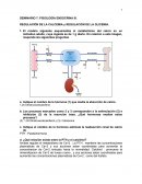 SEMINARIO 7: FISIOLOGÍA ENDOCRINA III. REGULACIÓN DE LA CALCEMIA y REGULACIÓN DE LA GLICEMIA