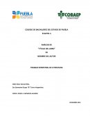 PLANTEL 5 ANÁLISIS DE "TÍTULO DEL LIBRO"