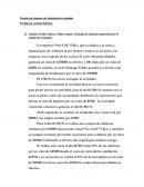 Parcial de sistema de información contable