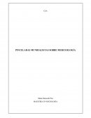 Sociología: marx y la mercancia