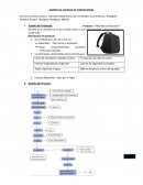 Diseño de un sistema de operaciones para una mochila