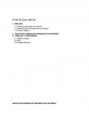 CANALES Y CONTENIDOS PAGINA WEB