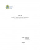 Dirección de empresas las tareas de los altos ejecutivos