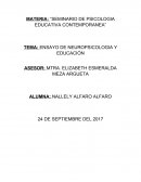 ENSAYO DE NEUROPSICOLOGIA Y EDUCACIÓN