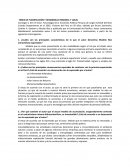 TAREA DE PLANIFICACIÓN Y DESARROLLO REGIONAL Y LOCAL