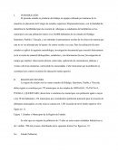 El presente estudio es producto del trabajo en equipo realizado por alumnos de la maestría en educación del Colegio de estudios superiores Hispanoamericano