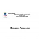 LOS RECURSOS PROCESALES DENTRO DEL SISTEMA JURÍDICO