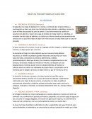 Métodos y recetas Prehispánicas