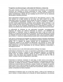 Terapéutica neurofarmacologica: enfermedad del Alzheimer y demencias