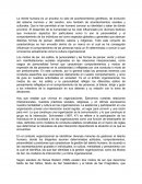 MODOS DE SER EN LA ORGANIZACION