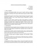 ACNUR: Alto Comissariado da ONU para Refugiados