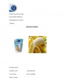 Departamento de Ciencias. Química. ADN BANAMICO