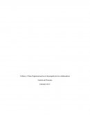 Cultura y Clima Organizacional en el desempeño de los colaboradores