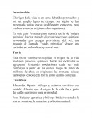 El origen de la vida. Los Principios