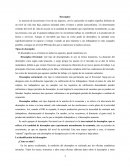 El desempleo. Tipos de desempleo