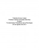 Ensayo Fundamentos Filosóficos de la Psicología