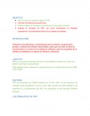 PERSONAL SOFTWARE PROCESO