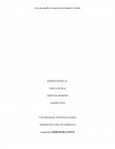 Caso de estudio el cuento de un traductor cultural Ima consuld S.A. en brúcelas Bélgica