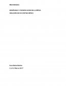 CREACIÓN DE UN CENTRO HÍPICO