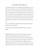Características físicas de los suelos del municipio del Copey