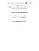 Ensayo sobre “Servicios Ambientales”