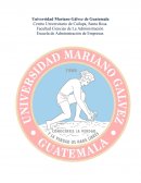 Según La red Business Network “Es la capacidad de guiar a otros, hacia la visión”