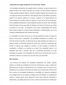 Comparación de la lógica disciplinaria con la de control - Deleuze