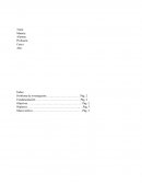 Creación de un teatro en puerto Iguazú