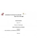 Forjando el futuro de nuestra región. Analisis financiero