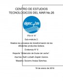 Evidencia N° 6 Reporte “Obtención de Dulce de Leche”