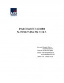 Inmigrantes como subcultura en chile