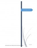 TRABAJO COMO SE HACE EL PROCESO