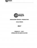 COMO SE DAN LA PROGRAMACION BASES DE DATOS