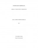 CASO PRACTICO CONSTITUCION Y DEMOCRACIA TUTELA