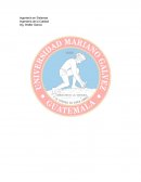 Los 7 Hábitos De La Gente Altamente Efectiva