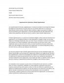 Cual es la Importancia de la Estructura y Diseño Organizacional