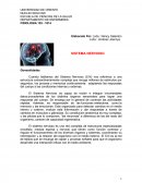 FISIOLOGIA DEL SISTEMA NERVIOSO ORGANIZACIÓN