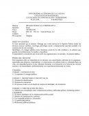 Imagen Publica y Corporativa ensayos