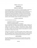 El nuevo Manejo de la rata