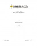 Ensayo Ensayo principios del derecho laboral