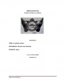 Monografia del maltrato animal