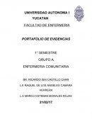 Portafolio enfermería comunitaria
