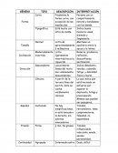 GÉNERO TIPO DESCRIPCIÓN INTERPRETACIÓN