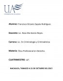 La grna Corrupcion en agentes de transito