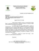 Asunto: Solicitud De Patrullaje.