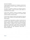 DETALLAR EL PROBLEMA