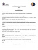 Preguntas guía cela etapa 2